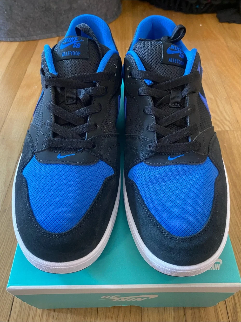 NEW Nike SB Alleyoop Dunk Black Royal